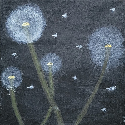 Acrylic painting of white seeding dandelions on a black background, with floating seeds mimicing stars on a black sky.